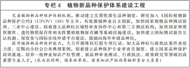 5.jpg 图片
